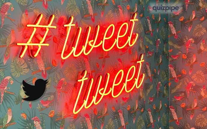 How to Create Twitter Quizzes